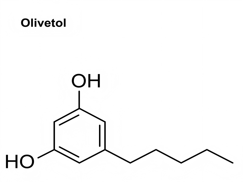 Olivetol C₁₁H₁₆O₂ CAS 500-66-3
