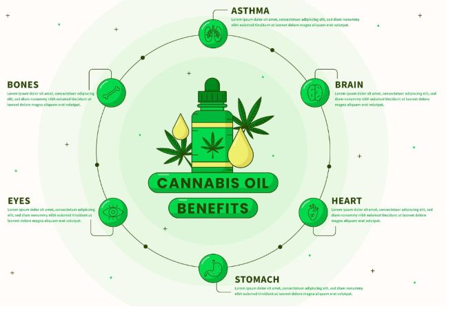 Aplicações potenciais de extratos de plantas de cannabis e fitoquímicos como antimicrobianos naturais
