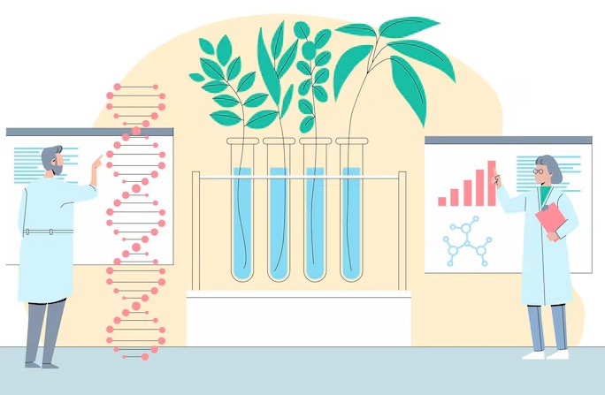 What Makes Olivetolic Acid (CAS 491-72-5) So Compelling?