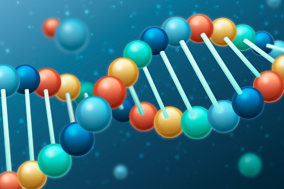 Um guia completo sobre anestésicos locais: procaína versus lidocaína