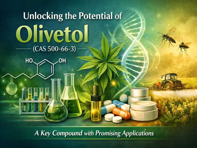 Unlocking the Potential of Olivetol (CAS 500-66-3): A Key Compound with Promising Applications