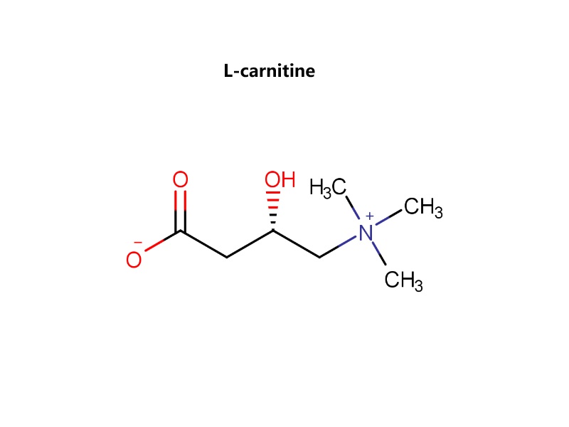 L-Carnitine​ CAS 541-15-1